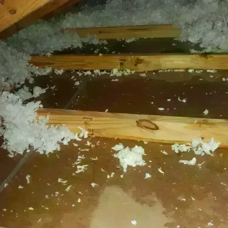 Attic Water Damage in Haslett, MI