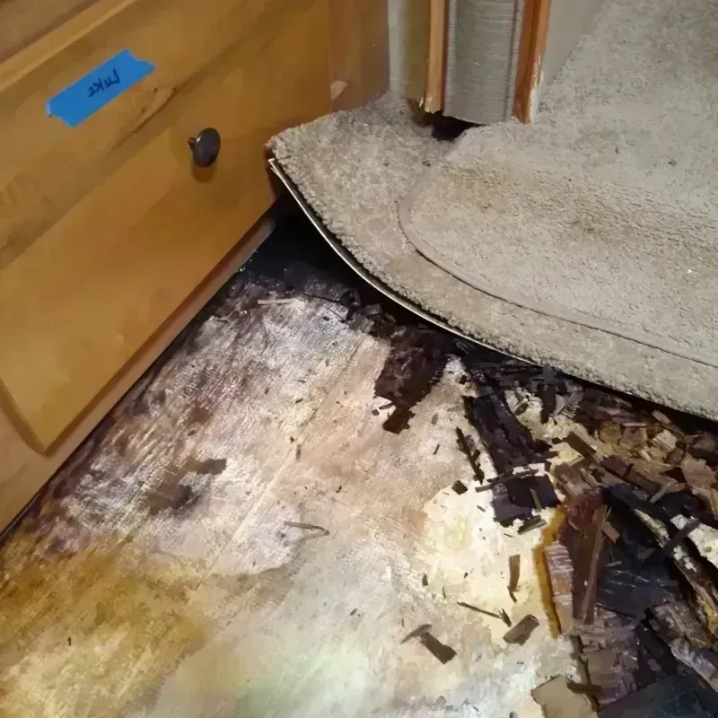 Wood Floor Water Damage in Haslett, MI